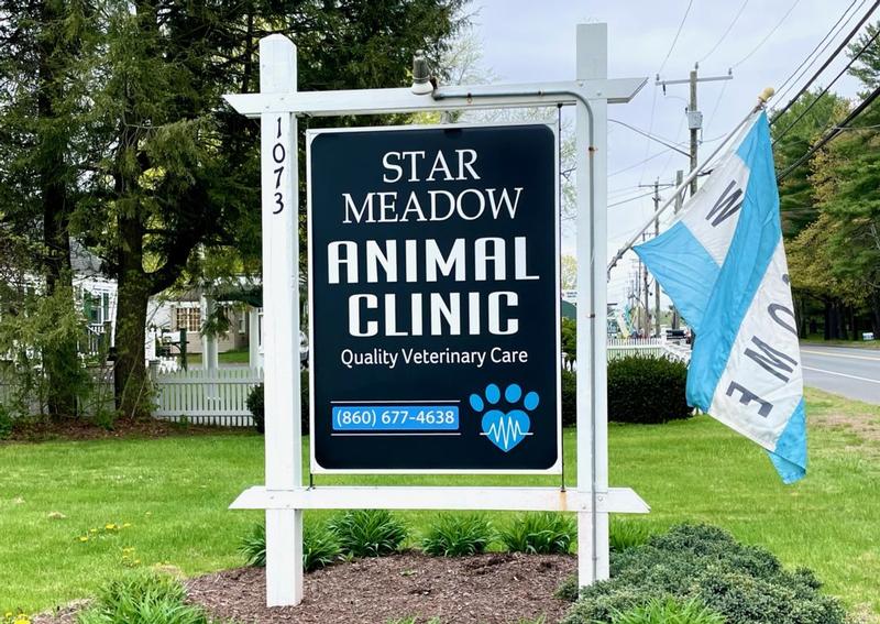 Star Meadow Animal Clinic Farmington Veterinarians